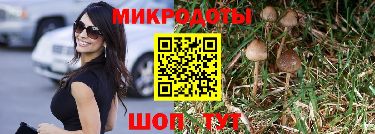 Галлюциногенные грибы Cubensis Таганрог